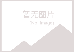 盐池县白山司法有限公司